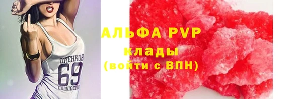 МДПВ Новозыбков