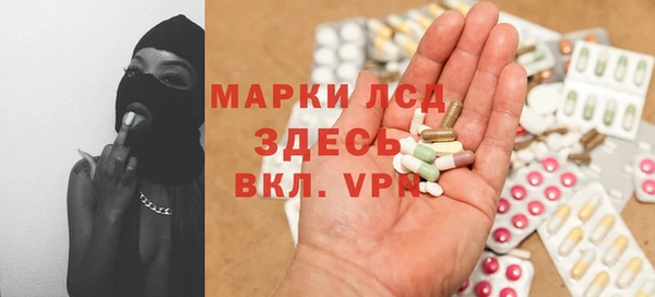 индика Нязепетровск