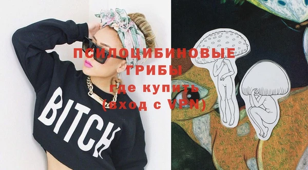 синтетический гашиш Новодвинск