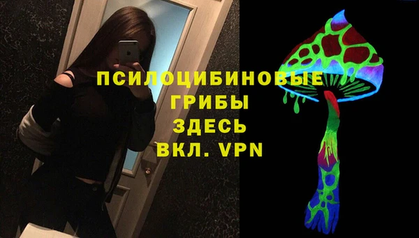 МДПВ Новозыбков